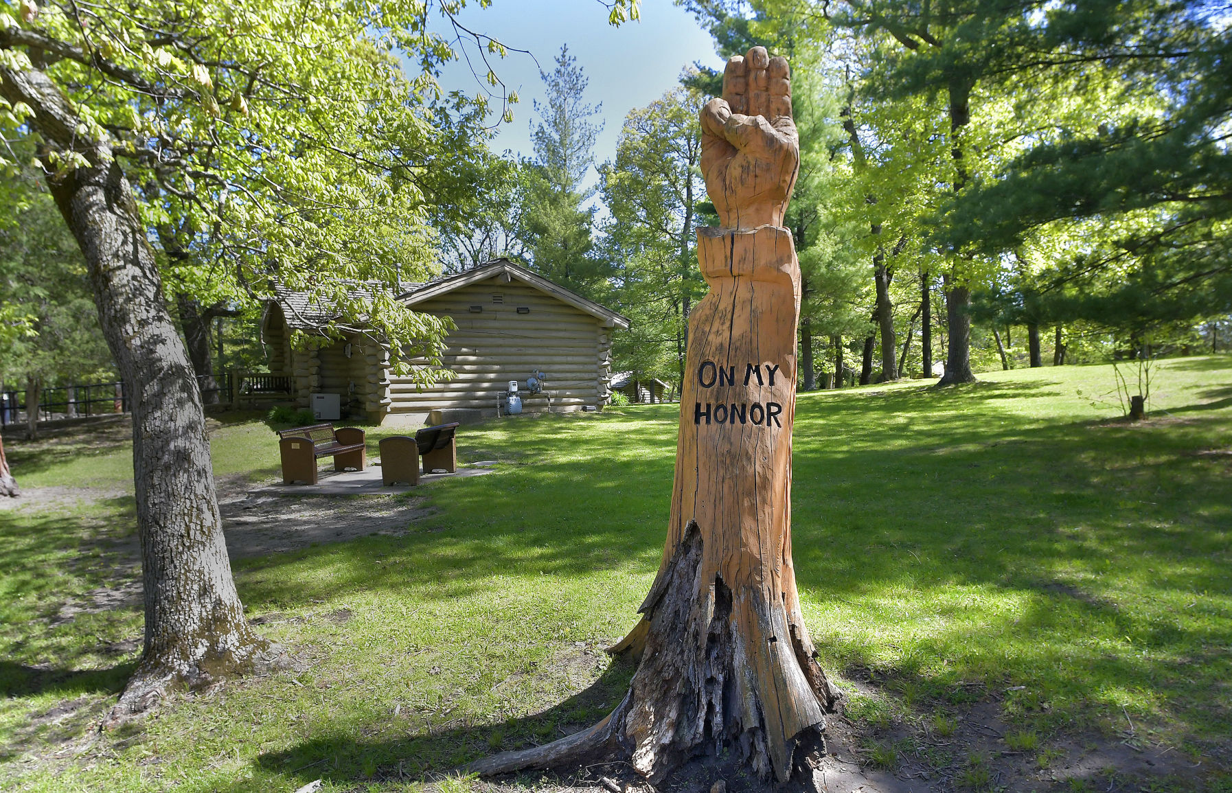 Carved tree